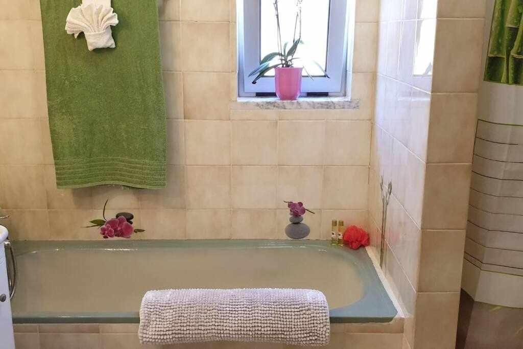 파로 Ria Formosa Pineview 빌라 외부 사진