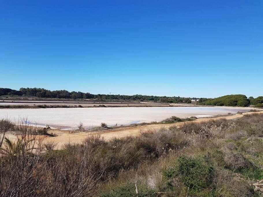 파로 Ria Formosa Pineview 빌라 외부 사진