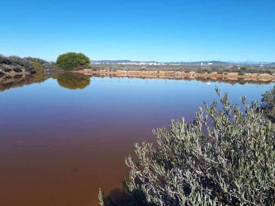파로 Ria Formosa Pineview 빌라 외부 사진
