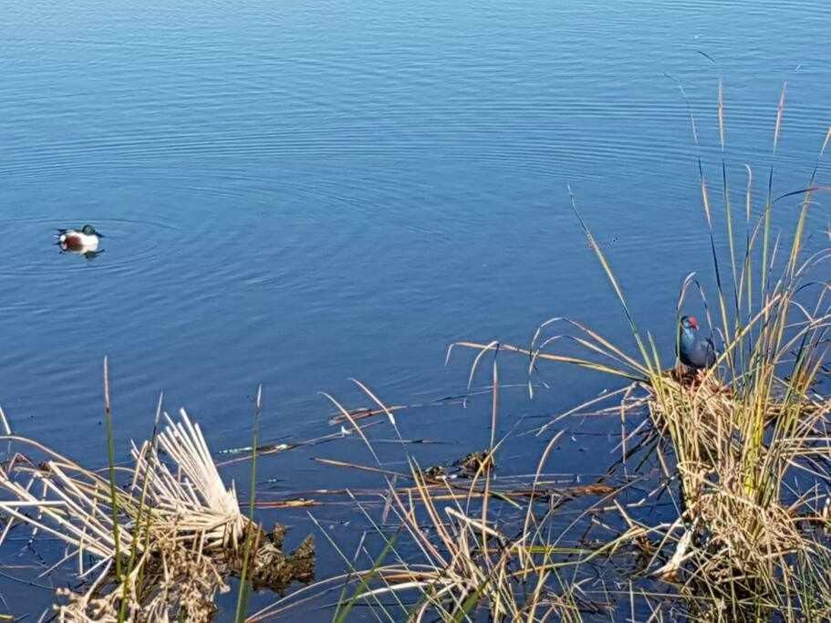파로 Ria Formosa Pineview 빌라 외부 사진